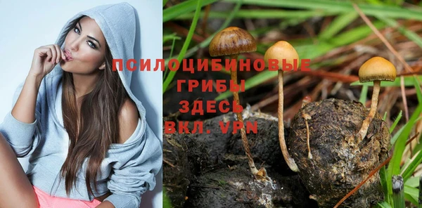 ГАЛЛЮЦИНОГЕННЫЕ ГРИБЫ Абинск