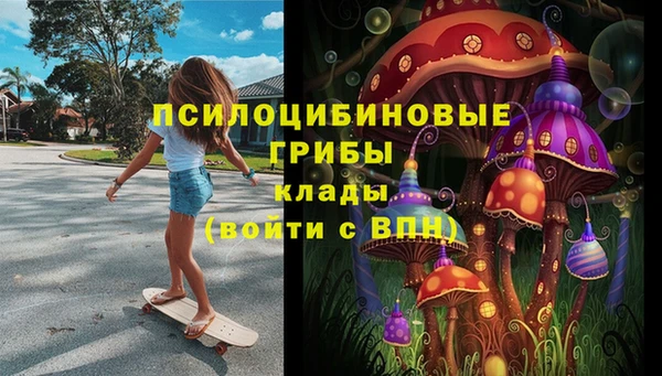 прущая мука Абаза