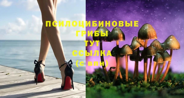 ГАЛЛЮЦИНОГЕННЫЕ ГРИБЫ Абинск
