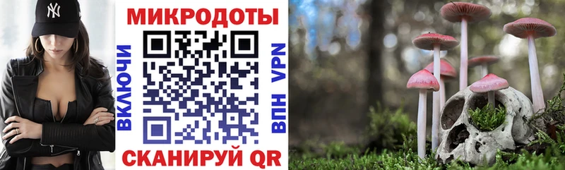 Галлюциногенные грибы GOLDEN TEACHER  shop как зайти  Спас-Клепики 